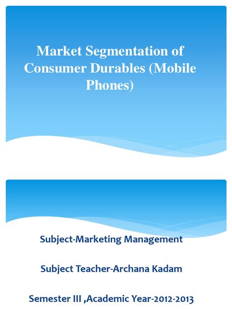 marketing segmentation essay example
